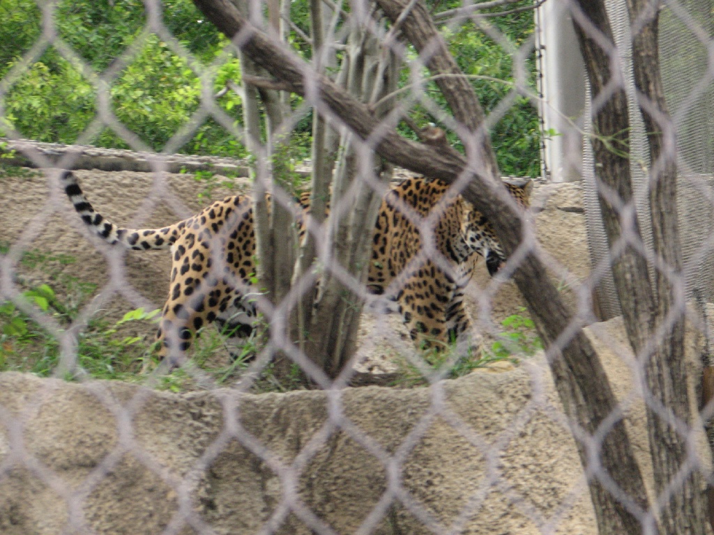 20100206 530.JPG